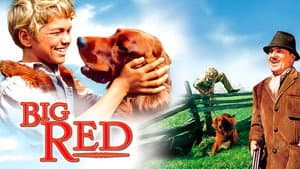 Big Red — foto 2