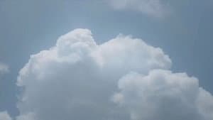Sheltering Skies — foto 1