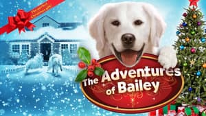 Adventures of Bailey: Christmas Hero — foto 4