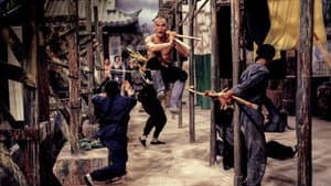 少林搭棚大師 — foto 2