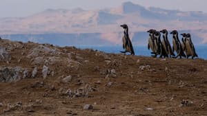 Wild Peru: Andes Battleground — foto 1