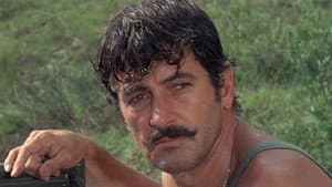 Hornets' Nest — foto 3