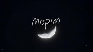 mopim — foto 2