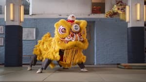 Kung Fu Leeuw — foto 1