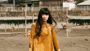 願い星流星群 — foto 1