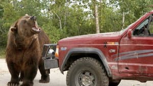 Grizzly Rage — foto 2