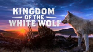 Kingdom of the White Wolf — foto 2