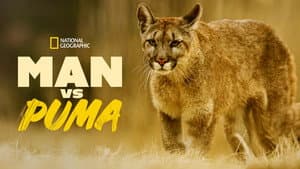 Man Vs. Puma — foto 5