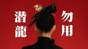 Episodio 12