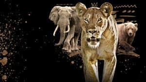 Reinas del mundo animal — foto 4