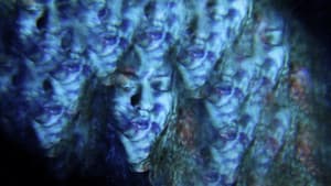 The Possibility of Drowning — foto 1