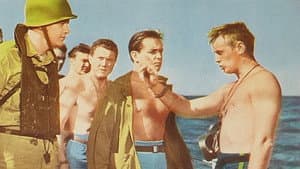 The Frogmen — foto 5