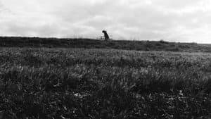 Landscaper — foto 1