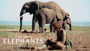 A Life Among Elephants — foto 2