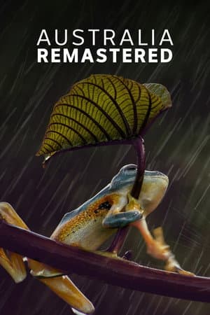Temporada 6