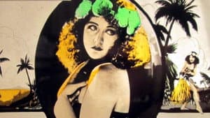 The White Flower — foto 1
