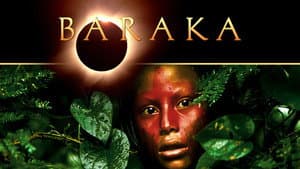 Baraka — foto 12