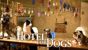 Hotel para Perros — foto 9