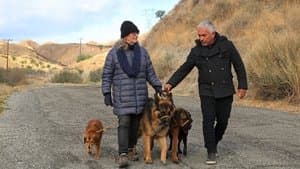 Episodio 2