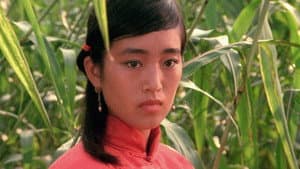 红高粱 — foto 3