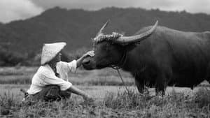 Animal Lovers — foto 1