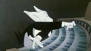 Episodio 24