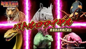 Episodio 24