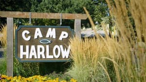 Camp Harlow — foto 1