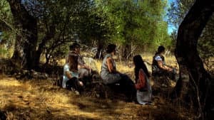 Farpões, Baldios — foto 1