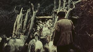 Pastori di Orgosolo — foto 1