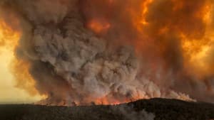 A Fire Inside — foto 3