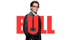 Bull — foto 5