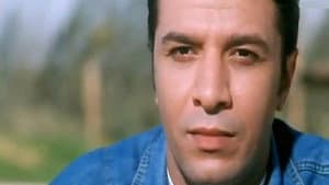 قشطه يابا — foto 1