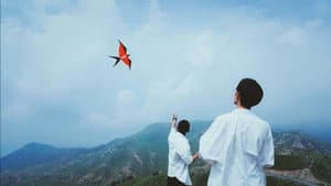 春风不喜是少年 — foto 1