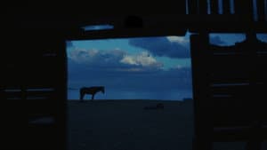 كولونيا — foto 10