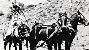 The Arizona Whirlwind — foto 1
