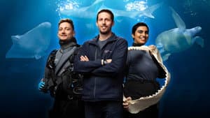 Secrets of the Aquarium — foto 1