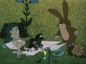 Episodio 29