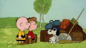 ¡Buen viaje, Charlie Brown, y no vuelvas! — foto 11