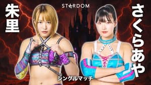 STARDOM in KORAKUEN 2025 May. — foto 2
