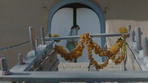 Radon’s Daughters — foto 1