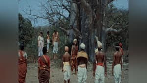 Episodio 8