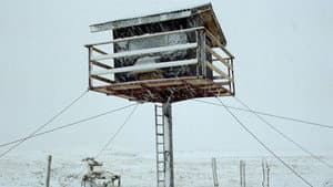Hreiður — foto 5
