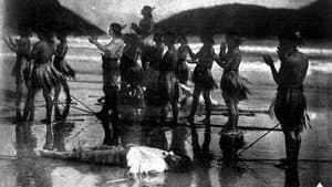 Iracema — foto 2