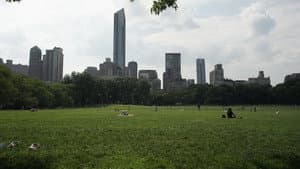 The Voices of New York — foto 1