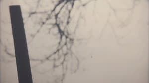 Your Death is My Delight — foto 1