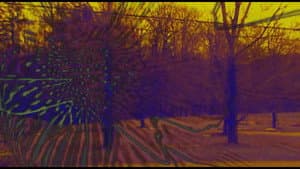 Joose Psychedelia Test — foto 6