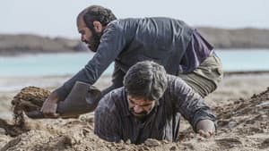 علت مرگ: نامعلوم — foto 5