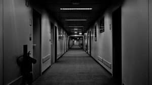 XYZ — foto 1
