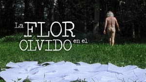 La flor en el olvido — foto 1